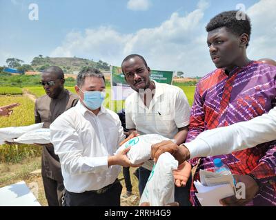 220611 -- ABUJA, 11. Juni 2022 -- der chinesische Landwirtschaftsexperte Wang Xuemin 2. L übergibt Reissaaten an die Einheimischen auf einer Demonstrationsfarm, die von einem chinesischen Unternehmen in Abuja, Nigeria, am 2. Juni 2022 betrieben wird. ZUM Feature: Die Zusammenarbeit zwischen China und Nigeria im Bereich der Landwirtschaft zielt auf eine bessere Nahrungsmittelproduktion ab NIGERIA-ABUJA-CHINA-LANDWIRTSCHAFTLICHE ZUSAMMENARBEIT GuoxJun PUBLICATIONxNOTxINxCHN Stockfoto