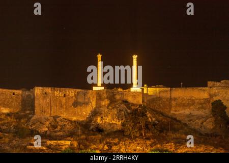 Nächtlicher Blick auf die Rizvaniye-Moschee vorne und die Burg Sanlıurfa hinten Stockfoto