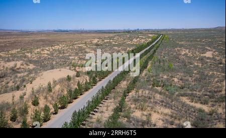 220617 -- YINCHUAN, 17. Juni 2022 -- Luftaufnahme aufgenommen am 14. Juni 2022 zeigt einen Blick auf das Baijitan National Ecological Reserve von Lingwu, nordwestchinesische Ningxia Hui Autonomous Region. Dank dreier Generationen engagierter Anstrengungen zur Sandkontrolle wurde eine 42 000 Hektar große Oase im Baijitan National Ecological Reserve von Lingwu am südwestlichen Rand der riesigen Maowusu-Wüste geschaffen. Die Oase ist inzwischen zu einer wichtigen Schutzbarriere für das ökologische System im Nordwesten Chinas geworden. Um die Wüste effektiv zu kontrollieren, haben sich die Einheimischen der Entwicklung profitabler Produkte verschrieben Stockfoto