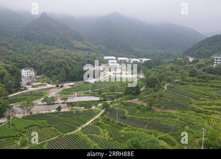 220619 -- HEFEI, 19. Juni 2022 -- Luftaufnahme, aufgenommen am 11. Mai 2022, zeigt einen Teegarten im Dorf Dawan im Jinzhai County in der ostchinesischen Provinz Anhui. Xinhua Schlagzeilen: Chinas Berggebiete erkunden neue Wege, um Wohlstand durch grüne Vermögenswerte zu generieren DuxYu PUBLICATIONxNOTxINxCHN Stockfoto