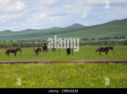 220623 -- HINGGAN LEAGUE, 23. Juni 2022 -- Touristen reiten Pferde im Ulan Mod Grasland in Horqin Right Wing Front Banner of Hinggan League, Nordchina's Inner Mongolia Autonomous Region, 23. Juni 2022. CHINA-INNERE MONGOLEI-HINGGAN-LIGA-ULAN MOD GRASLAND-LANDSCHAFT CN LIUXLEI PUBLICATIONXNOTXINXCHN Stockfoto