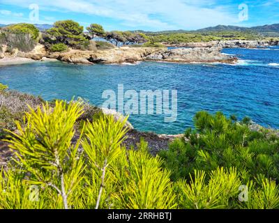 Blick auf die Insel Embiez, Südfrankreich Stockfoto