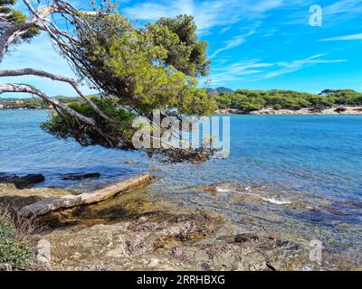 Blick auf die Insel Embiez, Südfrankreich Stockfoto