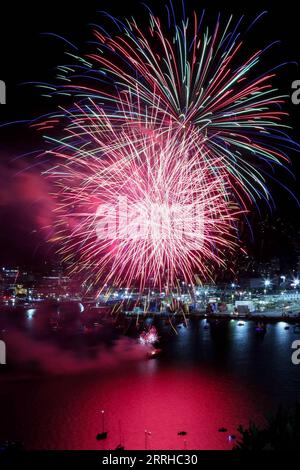 220625 -- WELLINGTON, 25. Juni 2022 -- Feuerwerk zur Feier des Maori-Neujahrsfestes Glow the Sky over Wellington, Neuseeland, 24. Juni 2022. Die Neuseeländer feierten Matariki, das Maori-Neujahr, zum ersten Mal am Freitag als offiziellen Feiertag. Foto von /Xinhua NEW ZEALAND-MATARIKI-OFFICIAL PUBLIC HOLIDAY MengxTao PUBLICATIONxNOTxINxCHN Stockfoto