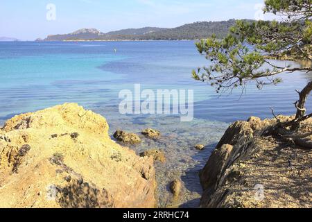 Strand in Porquerolles, französische Riviera Stockfoto