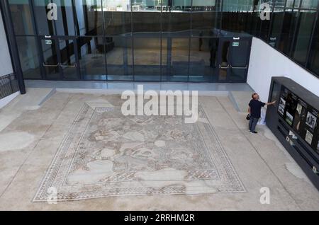 220704 -- LOD, 4. Juli 2022 -- Menschen sehen das Lod-Mosaik im Lod Mosaic Archaeological Center in Lod, einer Stadt östlich von Tel Aviv im Zentrum Israels, 4. Juli 2022. Das Lod Mosaic Archaeological Center wurde gebaut, um die einzigartigen Mosaike aus der römischen Zeit zu zeigen. Foto von /Xinhua ISRAEL-LOD-ARCHAEOLOGY-MOSAIC GilxCohenxMagen PUBLICATIONxNOTxINxCHN Stockfoto