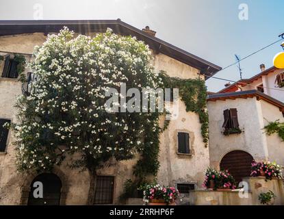 Blick auf den Weiler Limone am Gardasee, Brescia, Italien Stockfoto