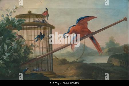 Vögel, 1750er Stockfoto