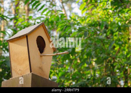 Vogelhaus auf einem Baum. Holzzufuhr im Wald. Wildschutz. Waldlandschaft. Vogelhaus im Wald hängen. Wildvogelkonzept. Stockfoto