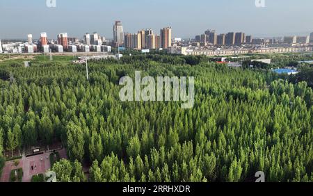 220709 -- HEYANG, 9. Juli 2022 -- Luftaufnahme aufgenommen am 9. Juli 2022 zeigt Menschen, die im Jinshui River Wetland Park im Heyang County, nordwestchinesische Provinz Shaanxi, trainieren. Heyang County hat in den letzten Jahren Anstrengungen unternommen, um den ökologischen Schutz zu fördern, wobei die Waldfläche bis jetzt 775.000 mu, etwa 51.667 Hektar, erreicht hat. CHINA-SHAANXI-HEYANG-GREEN DEVELOPMENT CN TAOXMING PUBLICATIONXNOTXINXCHN Stockfoto