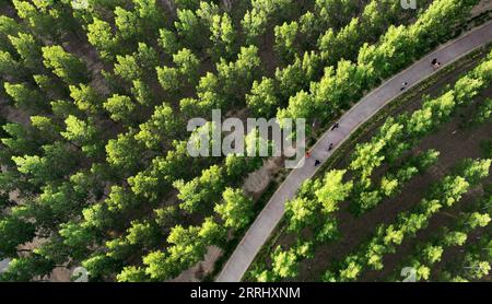 220709 -- HEYANG, 9. Juli 2022 -- Luftaufnahme aufgenommen am 9. Juli 2022 zeigt Menschen, die im Jinshui River Wetland Park im Heyang County, nordwestchinesische Provinz Shaanxi, trainieren. Heyang County hat in den letzten Jahren Anstrengungen unternommen, um den ökologischen Schutz zu fördern, wobei die Waldfläche bis jetzt 775.000 mu, etwa 51.667 Hektar, erreicht hat. CHINA-SHAANXI-HEYANG-GREEN DEVELOPMENT CN TAOXMING PUBLICATIONXNOTXINXCHN Stockfoto