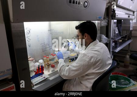 (230908) -- JERUSALEM, 8. September 2023 (Xinhua) -- Ein Forscher arbeitet am 7. September 2023 in einem Labor für Biowissenschaften am Weizmann Institute of Science (WIS) in der israelischen Stadt Rechovot. Stammzellforscher haben künstliche Modelle menschlicher Embryonen geschaffen und diese bis zum 14. Tag erfolgreich außerhalb der Gebärmutter gezüchtet, sagte WIS in Zentralisrael in einer Erklärung am Mittwoch. In einer neuen Studie, die in der Zeitschrift „Science“ veröffentlicht wurde, erstellten die Forscher künstliche Stammzell-Embryo-Modelle, die alle wesentlichen Merkmale und Komponenten dieses Entwicklungsstadiums genau nachahmen, einschließlich der Plazenta, Dotter Stockfoto