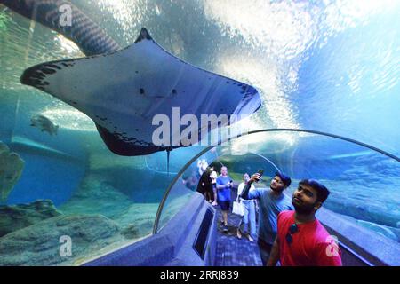 220716 -- PATTAYA, 16. Juli 2022 -- Touristen besuchen Underwater World Pattaya in der Provinz Chonburi, Thailand, am 16. Juli 2022. Foto von /Xinhua THAILAND-PATTAYA-UNTERWASSERWELT RachenxSageamsak PUBLICATIONxNOTxINxCHN Stockfoto