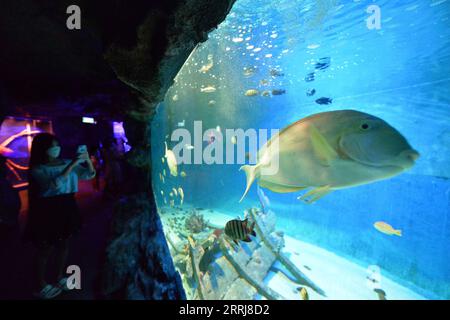 220716 -- PATTAYA, 16. Juli 2022 -- Ein Tourist fotografiert am 16. Juli 2022 in Underwater World Pattaya in der Provinz Chonburi, Thailand. Foto von /Xinhua THAILAND-PATTAYA-UNTERWASSERWELT RachenxSageamsak PUBLICATIONxNOTxINxCHN Stockfoto