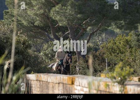 Butter Cowboy Maremma Marremano Pferde Toskana Italien Arbeit Stockfoto