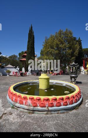 Runder Lotusbrunnen und Teich im Innenhof der Hong Hien Tu Pagode im vietnamesischen Stil oder der Frejus Pagode Fréjus Var France Stockfoto