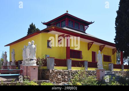 Gelber Haupttempel der Hong Hien Tu Pagode im vietnamesischen Stil oder Frejus Pagode Fréjus Var Frankreich Stockfoto