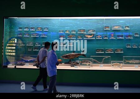 220719 -- QINGTIAN, 19. Juli 2022 -- Menschen besuchen ein Museum zum Thema Qingtian Reis-Fisch-Ko-Kultur-System in Qingtian County, Ostchinesische Provinz Zhejiang, 18. Juli 2022. Das Reis-Fisch-Ko-Kultursystem in Qingtian hat eine Geschichte von mehr als 1.300 Jahren und wurde in der weltweit ersten Gruppe der weltweit bedeutenden GIAHS-Systeme für landwirtschaftliches Erbe aufgeführt, die 2005 von der Ernährungs- und Landwirtschaftsorganisation der Vereinten Nationen FAO benannt wurden. Qingtian im südwestlichen Teil von Zhejiang verfügt über ausreichende Wasserressourcen und eine terrassenförmig angelegte Landschaft. Das Reis-Fisch-Kokultursystem kann handso sein Stockfoto