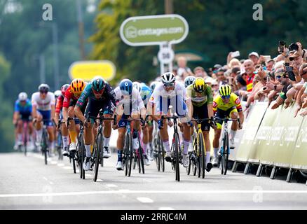 Danny Van Poppel vom Team BORA-hansgrohe (linkes, blaues und schwarzes Trikot) auf dem Weg zur Siegerstufe sechs der Tour of Britain 2023 von Southend-on-Sea nach Harlow, dicht gefolgt vom britischen Ethan Vernon (dritter rechts). Bilddatum: Freitag, 8. September 2023. Stockfoto