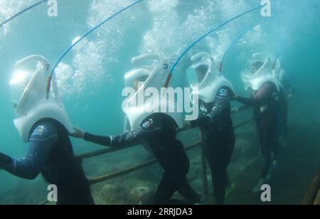 220720 -- HAIKOU, 20. Juli 2022 -- Touristen machen sich auf Unterwasser-Spaziergänge im Seegebiet der Wuzhizhou-Insel in Sanya, südchinesische Provinz Hainan, 11. Januar 2020. ZU China Focus: Marine Ranching hilft bei der Wiederherstellung der Biodiversität auf der Südchinesischen Insel CHINA-HAINAN-MARINE RANCHING-BIODIVERSITÄT WIEDERHERSTELLUNG CN YangxGuanyu PUBLICATIONxNOTxINxCHN Stockfoto