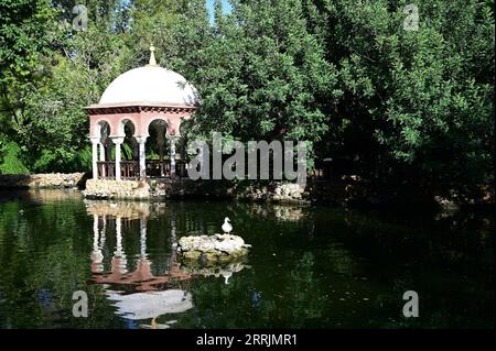 Zierteich im Maria Luisa Park in Sevilla, Spanien. Stockfoto