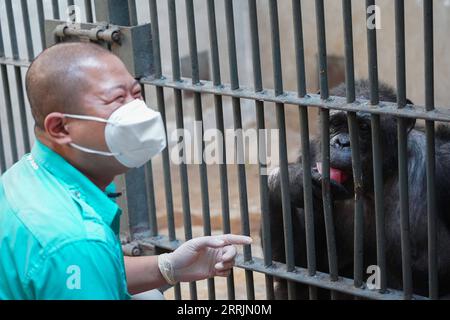 220730 -- PEKING, 30. Juli 2022 -- Wang Zheng bietet einem Schimpansen Eis zum Abkühlen im Beijing Zoo in Peking, Hauptstadt von China, 14. Juli 2022. Wang Zheng arbeitet seit 17 Jahren im Gorilla House des Pekinger Zoos. Er kümmert sich um alle Aspekte der Tiere, die hier leben. Als Züchter muss Wang die psychologischen Aktivitäten, das Temperament und ihre Verhaltensmuster der Tiere lernen und verstehen, um eine bessere Zucht zu ermöglichen. Der unvergesslichste Moment für Wang im Laufe der Jahre war, als Nan Nan, ein künstlich aufgewachsener Schimpanse, 2021 ein weibliches Jungtier zur Welt brachte. Es war das zweite Mal Nan N Stockfoto