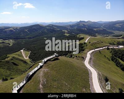 220805 -- FENGNING, 5. Aug. 2022 -- Luftaufnahme am 5. Aug. 2022 zeigt Touristen, die einen Waldpark in der Region Bashang des Autonomen Komitats Fengning Manchu in der nordchinesischen Provinz Hebei besuchen. CHINA-HEBEI-FENGNING-GRASLAND CN LuoxXuefeng PUBLICATIONxNOTxINxCHN Stockfoto