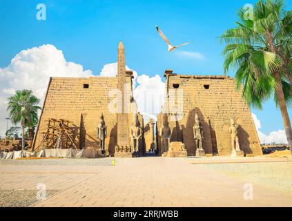 Den alten Tempel von Luxor in Luxor, Ägypten Stockfoto