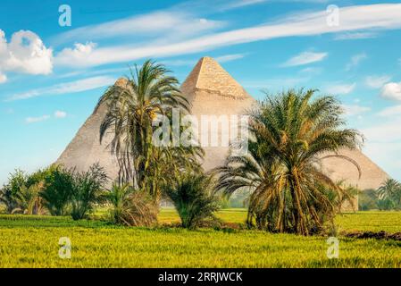 Ägyptische Pyramiden im grünen Feld am nebligen Morgen Stockfoto