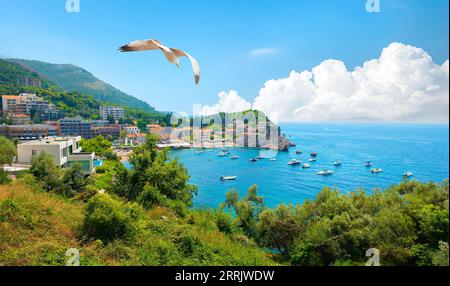 Panoramablick auf die Landschaft der Riviera von Budva in Montenegro. Stockfoto