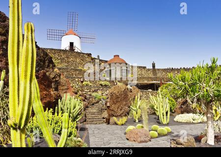 Guatiza, Lanzarote, Kanarische Inseln, Spanien - 30. März 2023: Alte Windmühle mit Blick auf den terrassierten Kaktusgarten, entworfen von Cesar Manrique im Jahr 1991. Stockfoto