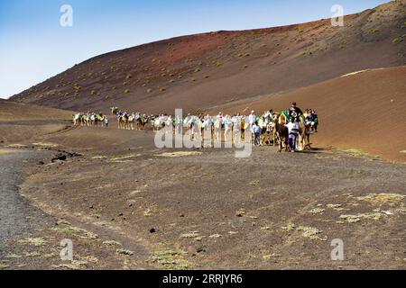 Lanzarote, Kanarische Inseln, Spanien - 24. März 2023: Menschen reiten auf Kamelen in der vulkanischen roten Wüste des Timanfaya-Nationalparks Stockfoto