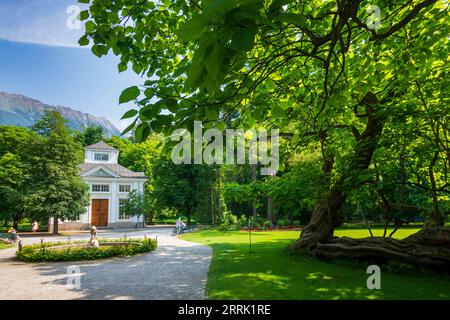 Innsbruck, Trompetenbaum (Catalpa bignonioides, südliche Catalpa, Zigarettenbaum, indischer Bohnenbaum) im Park Hofgarten, Musikpavillon in der Region Innsbruck, Tirol, Österreich Stockfoto