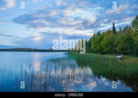 See mit Bäumen am Ufer im Norden von Minnesota bei Sonnenuntergang an einem Herbsttag Stockfoto