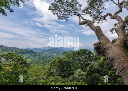 Landschaft des National Kinabalu Park, Taman Negara Kinabalu, in Sabah, Ost-Malaysia Stockfoto