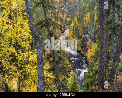 Oulanka Canyon im Herbst, Oulanka Nationalpark, Finnland Stockfoto