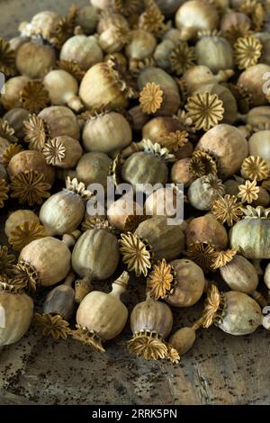 Getrocknete Mohnschoten und Samen in einer alten Holzschale Stockfoto