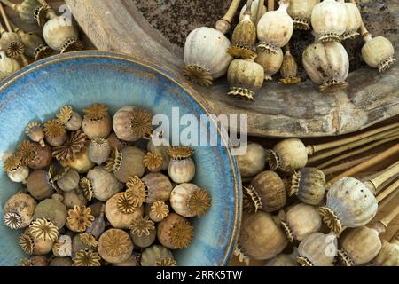 Getrocknete Mohnkapseln in Schüsseln aus Holz und blau glasiertem Steinzeug, Detailansicht, Draufsicht Stockfoto