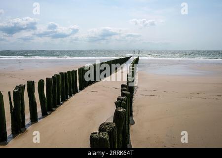 Vlissingen, Zeeland, Niederlande - Sandstrand mit Holzbächen, Hafenstadt an der Südküste der Halbinsel Walcheren in der niederländischen Provinz Zeeland. Stockfoto