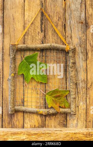 Dekorativer Holzrahmen aus Zweigen auf Holzhintergrund mit Blättern einer Eichenblatthydrangee, Dekorationsidee, Geschenkidee, Naturdekoration Stockfoto