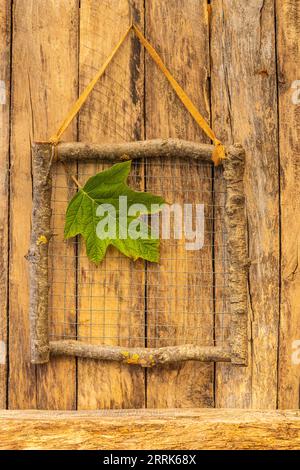 Dekorativer Holzrahmen aus Zweigen auf Holzhintergrund mit Blatt einer Eichenblatthydrangee, Dekorationsidee, Geschenkidee, Naturdekoration Stockfoto