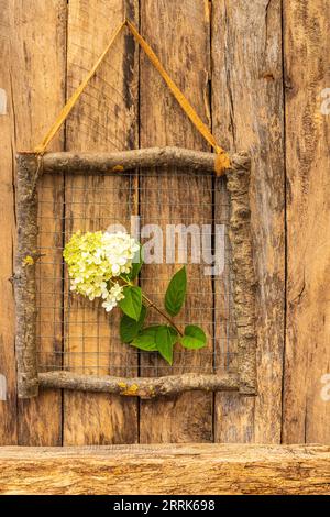 Dekorativer Holzrahmen aus Zweigen auf hölzernem Hintergrund mit Hortensienblume, Dekorationsidee, Geschenkidee, Naturdekoration Stockfoto