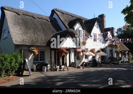 Das Red Lion inn, Grantchester, Cambridgeshire Stockfoto