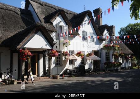 Das Red Lion inn, Grantchester, Cambridgeshire Stockfoto