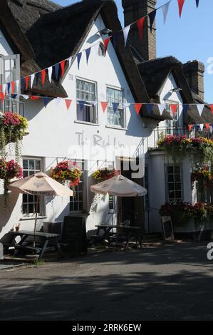 Das Red Lion inn, Grantchester, Cambridgeshire Stockfoto