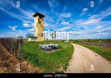 Weinbergturm bei Vendersheim in Rheinhessen, am Rondell, einer Ruhestätte für Wanderer entlang der Rheinhessen St. James Pilgrimage Route Stockfoto