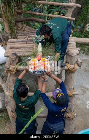 220823 -- KUALA LUMPUR, 23. August 2022 -- Zookeepers bereiten Geburtstagsgeschenke für den riesigen Panda Liang Liang im Zoo Negara bei Kuala Lumpur, Malaysia, 23. August 2022 vor. Riesen Pandas Xing Xing und Liang Liang feierten am Dienstag ihren 16. Geburtstag im Zoo Negara in der Nähe von Malaysias Hauptstadt Kuala Lumpur. Xing Xing und Liang Liang, die 2014 in Malaysia ankamen, haben drei riesige Pandabäubchen zur Welt gebracht. MALAYSIA-RIESEN-PANDAS-16. GEBURTSTAG-FEIER ZHUXWEI PUBLICATIONXNOTXINXCHN Stockfoto