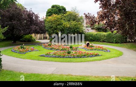 Gärtner im Blumenbeet The Arboretum, Lincoln City, Lincolnshire, England, Großbritannien Stockfoto