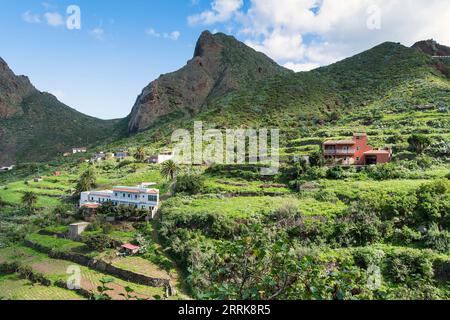 Teneriffa, Kanarische Insel, Anaga Mountains, Dorf Taganana Stockfoto