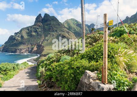 Teneriffa, Kanarische Insel, Anaga Mountains, Punta del Hidalgo, Wanderweg nach Chinamada Stockfoto